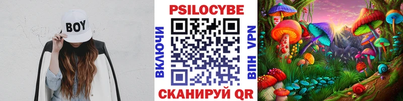 как найти закладки  Нефтекумск  Псилоцибиновые грибы Cubensis 